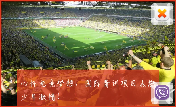 心怀电竞梦想,国际青训项目点燃少年激情!