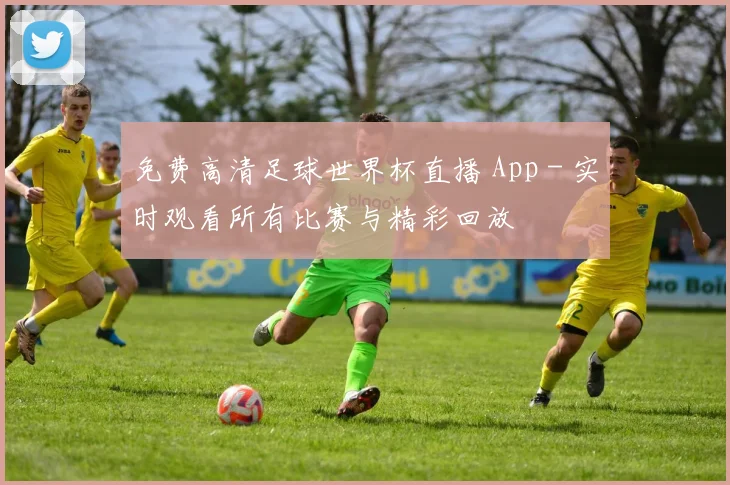 免费高清足球世界杯直播 App - 实时观看所有比赛与精彩回放