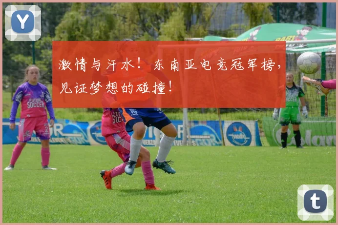 激情与汗水！东南亚电竞冠军榜，见证梦想的碰撞！